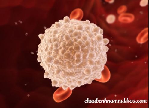 ảnh bạch cầu