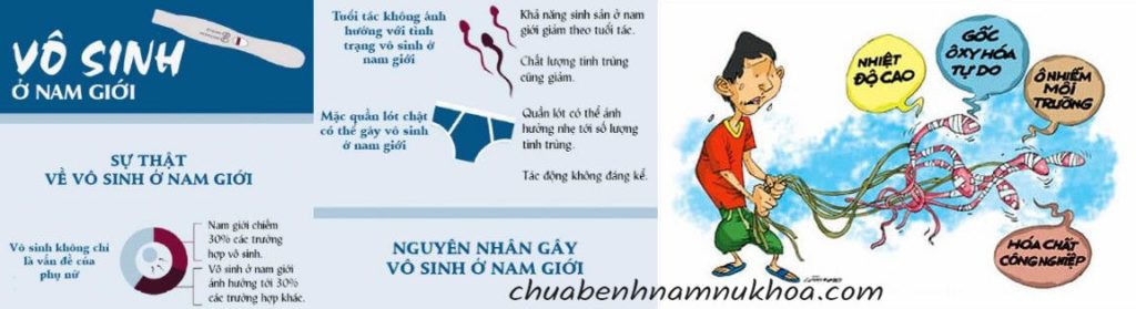 nguyên nhân gây vô sinh nam nguyên nhân gây vô sinh nam